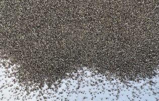 Categorie - Stainless steel grit